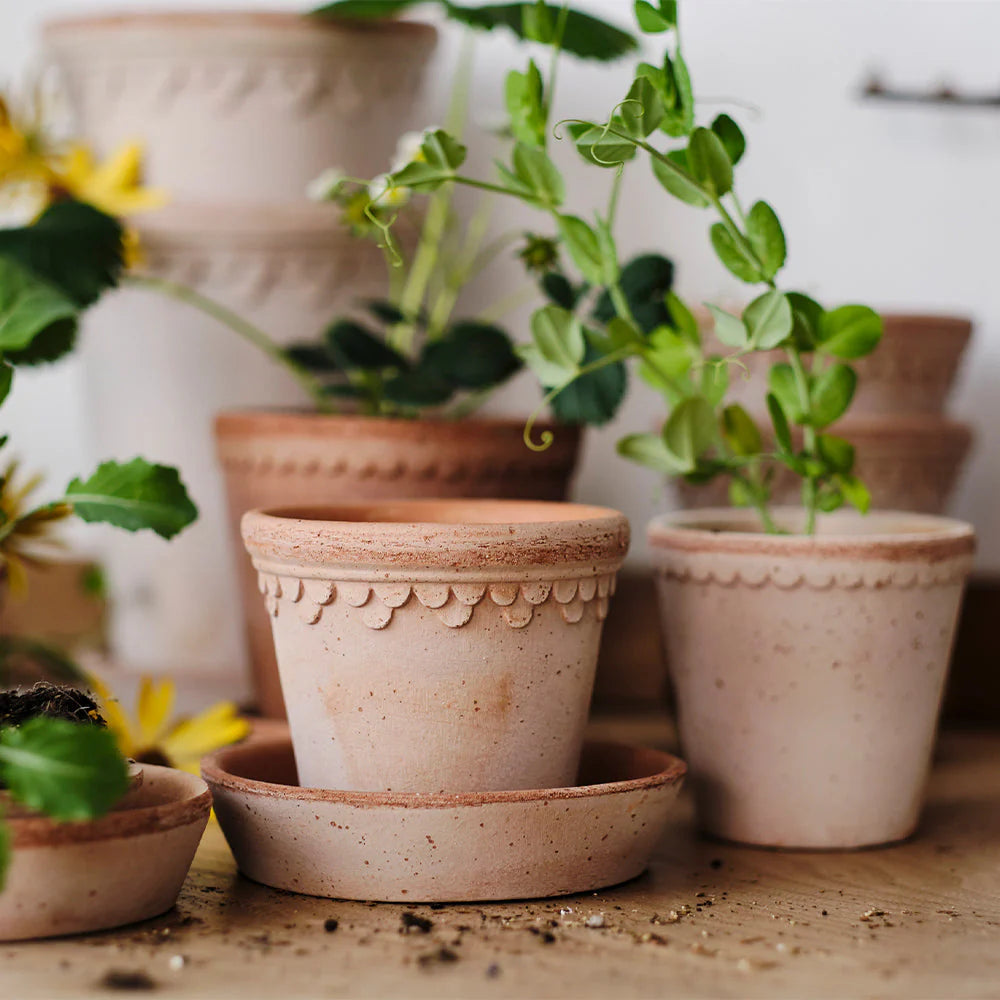 Blumentopf mit Unterteller Københavner | Rosa Ø: 10 cm
