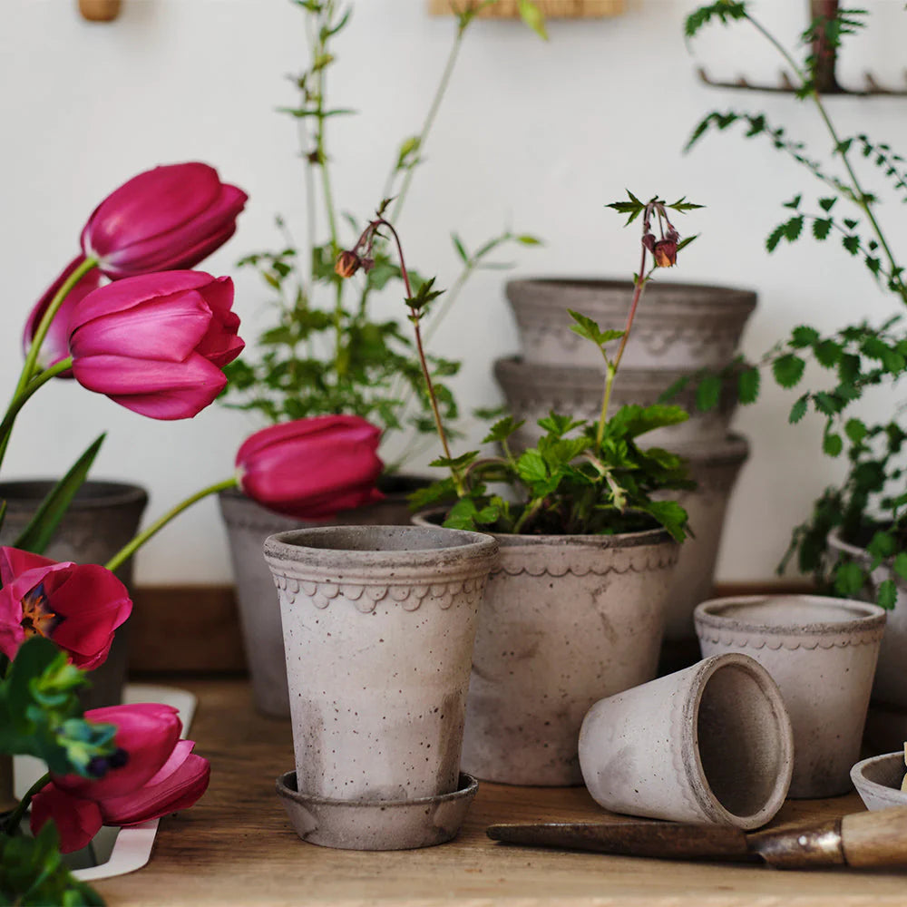Blumentopf mit Unterteller Københavner grau Ø: 25 cm