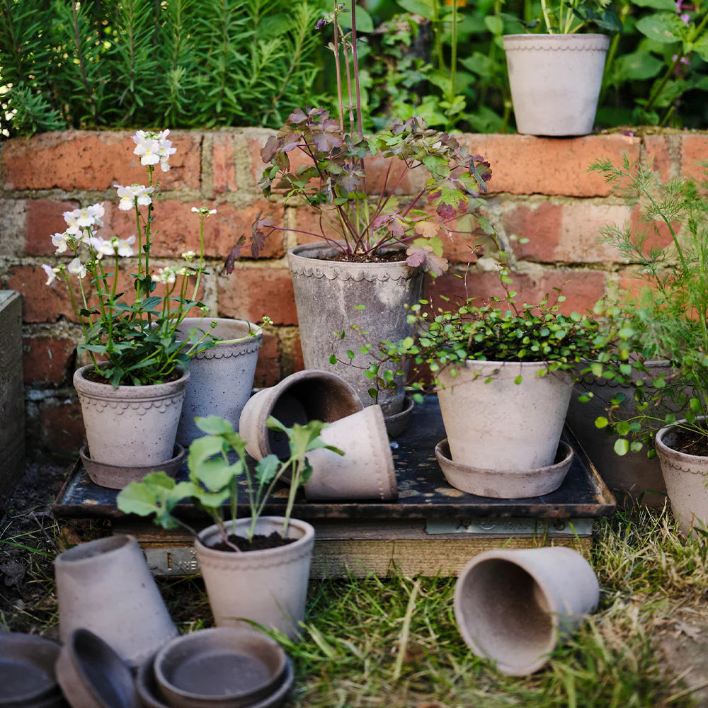 Blumentopf mit Unterteller Københavner | Grau Ø: 18 cm