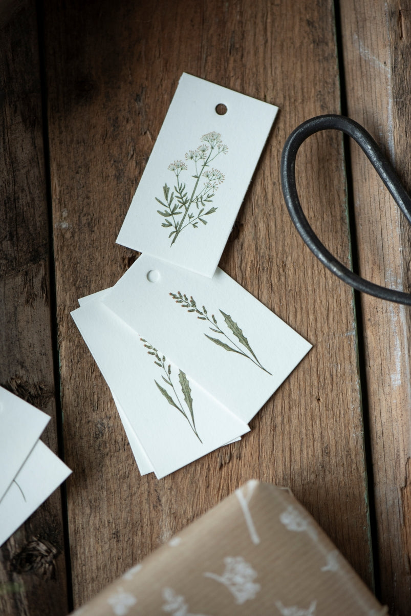 Geschenkanhänger BOTANIC | 12 Stk. assortiert