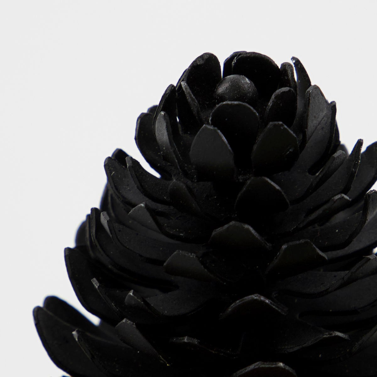 Tannenzapfen | Metall