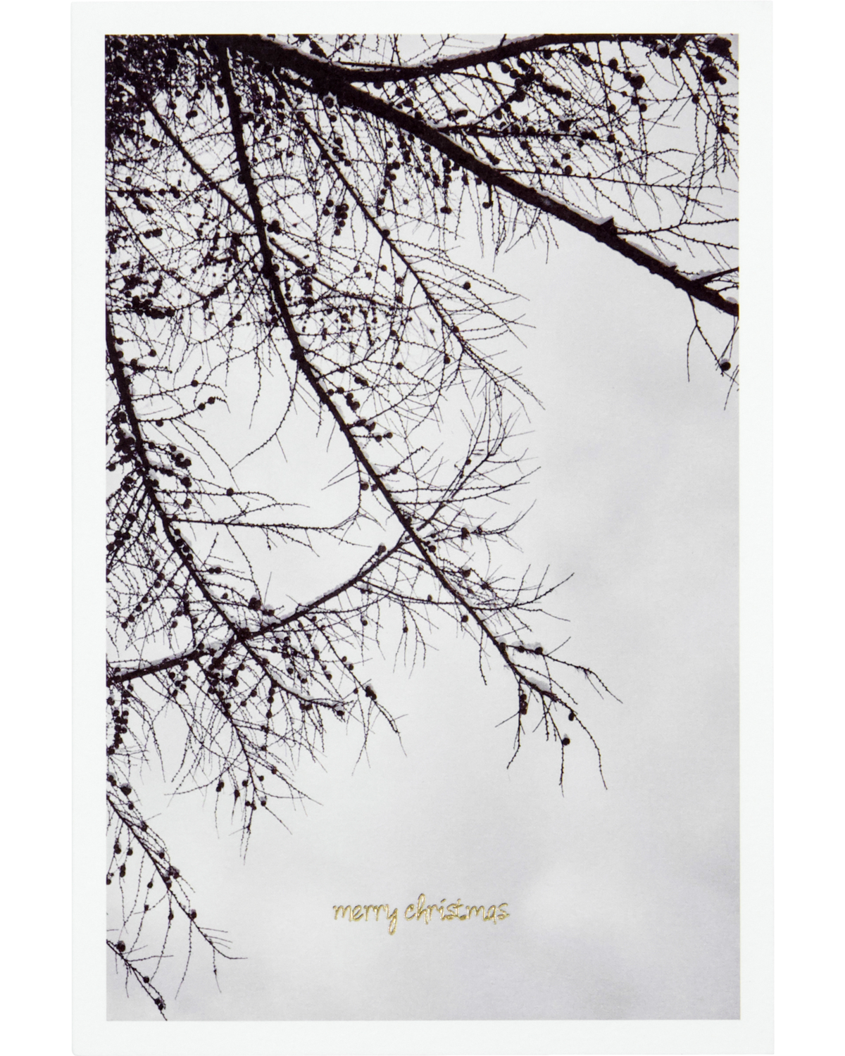 Grusskarten WINTER | 6-er Set