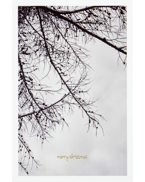Grusskarten WINTER | 6-er Set