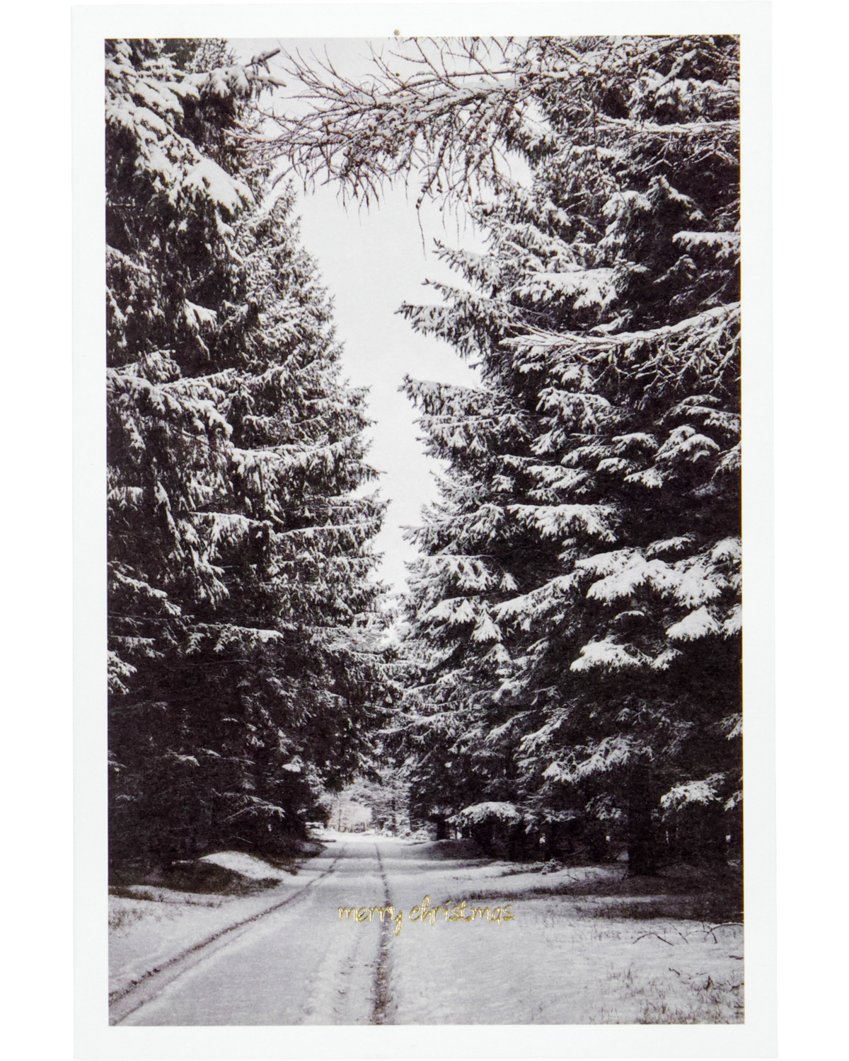 Grusskarten WINTER | 6-er Set