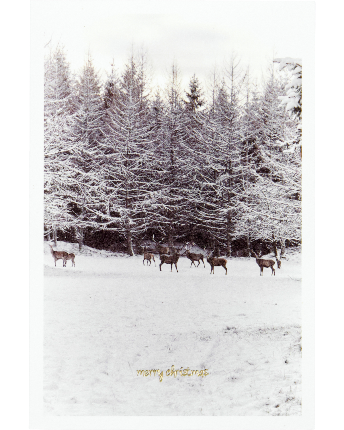 Grusskarten WINTER | 6-er Set