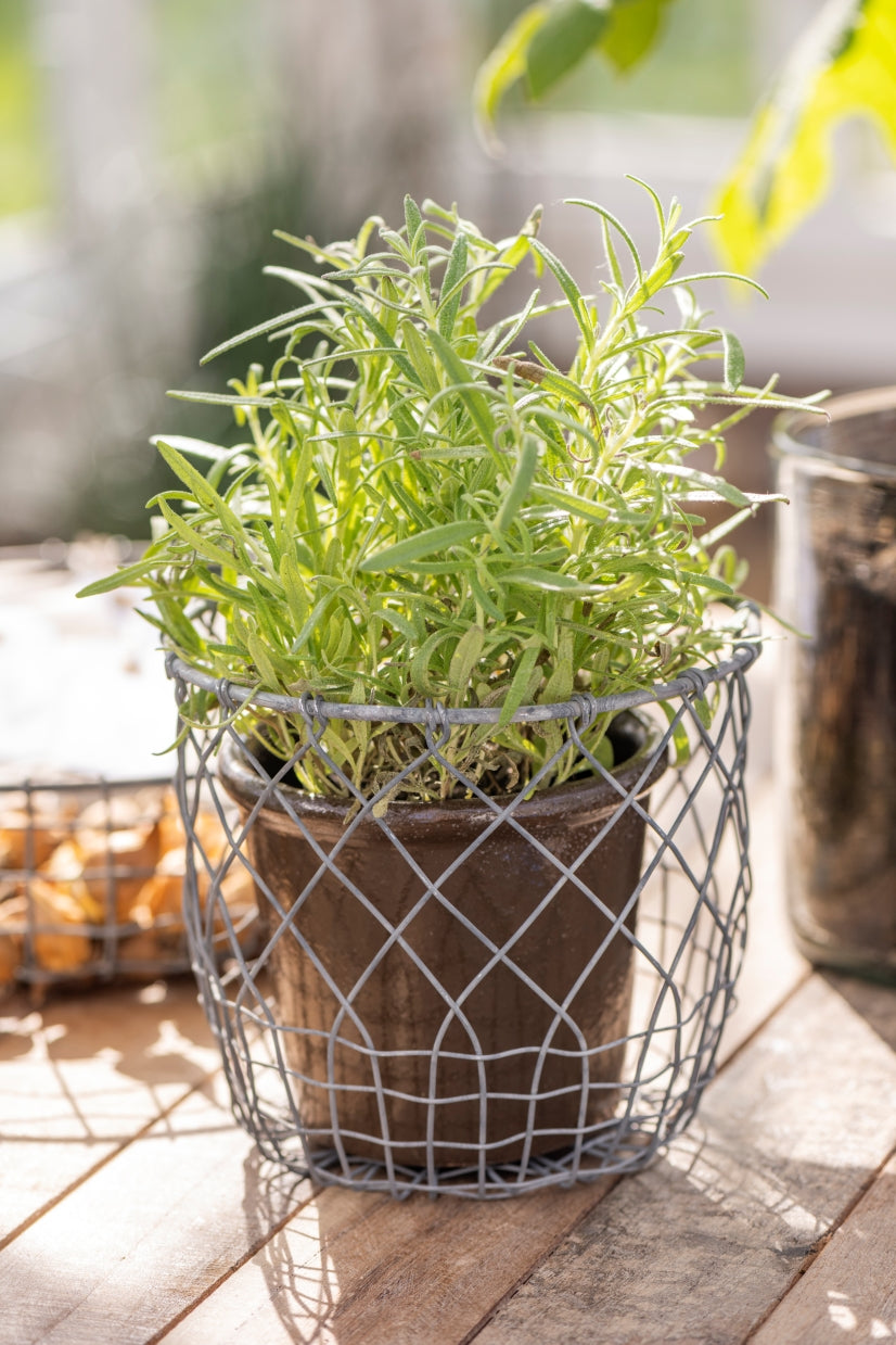 Drahtkorb 2-er Set | 2 Grössen