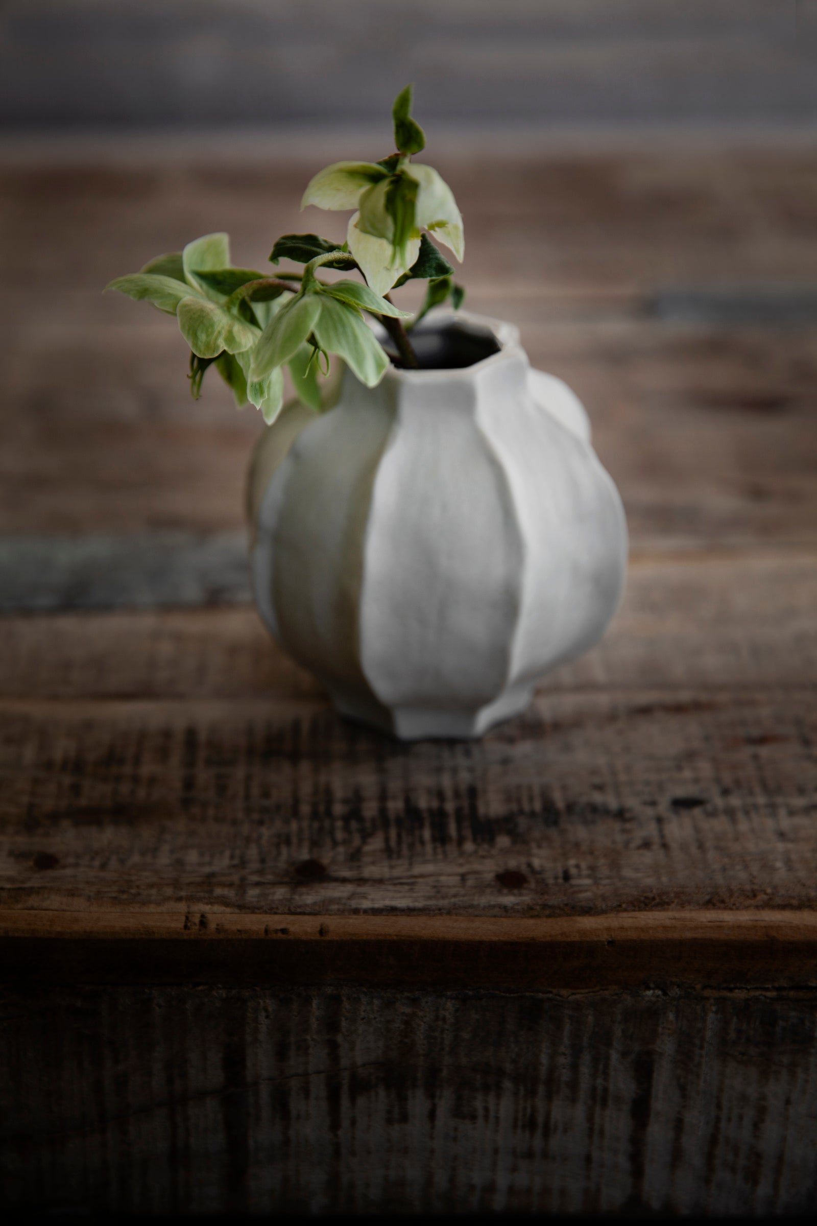 KORALLENVASE | Naturweiss 10 cm