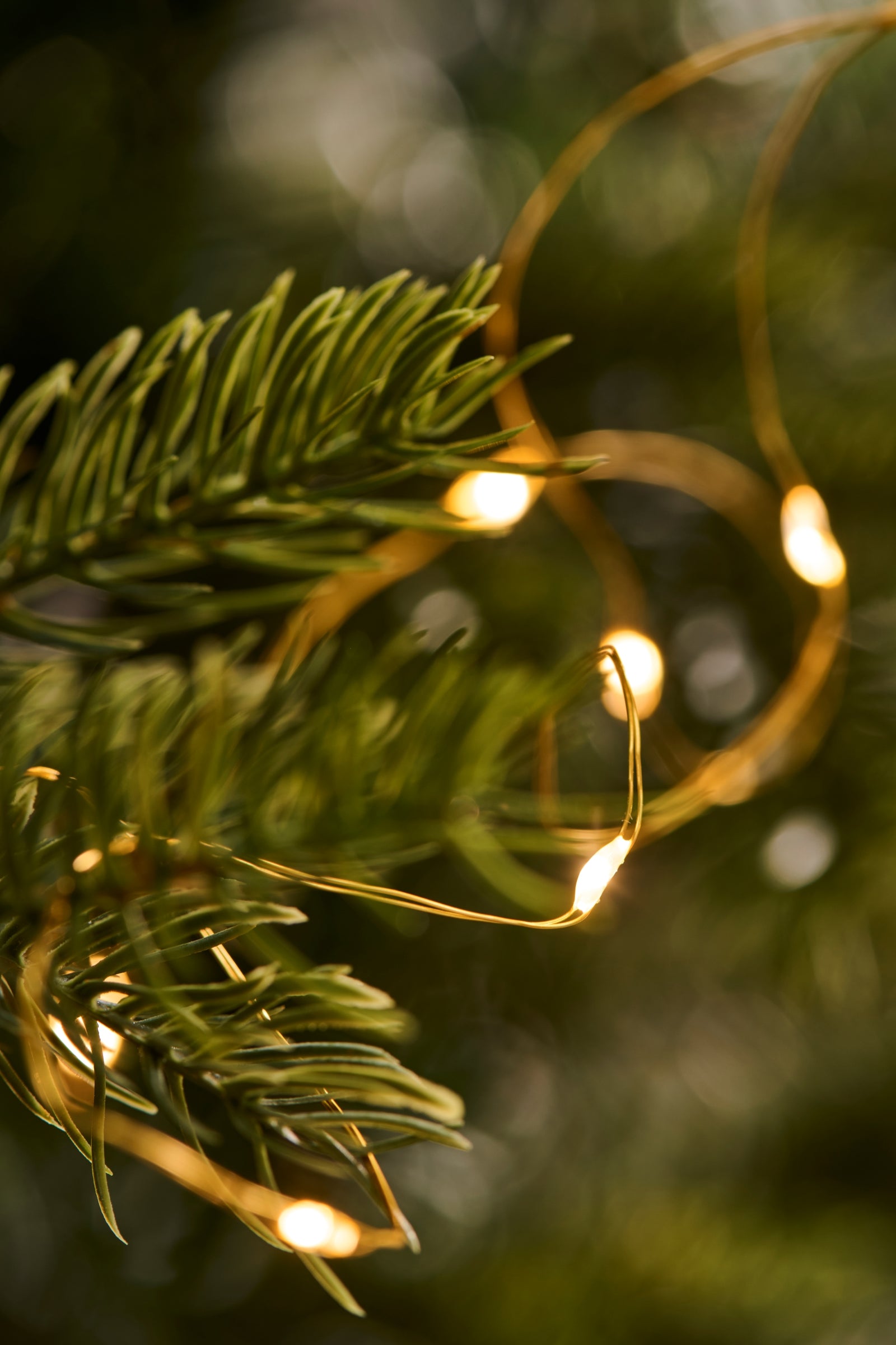 Lichterkette GOLD | 220 cm