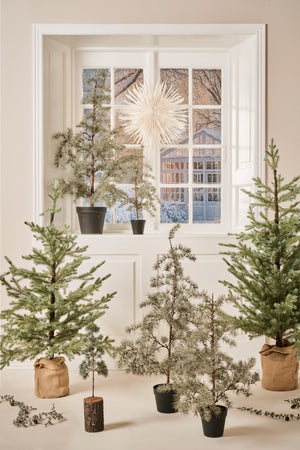 Tannenbaum im Jutebeutel (CHF 198.-)