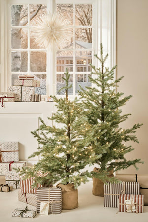 Tannenbaum im Jutebeutel (CHF 198.-)