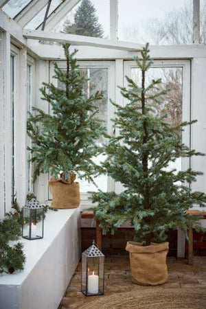 Tannenbaum im Jutebeutel (CHF 198.-)