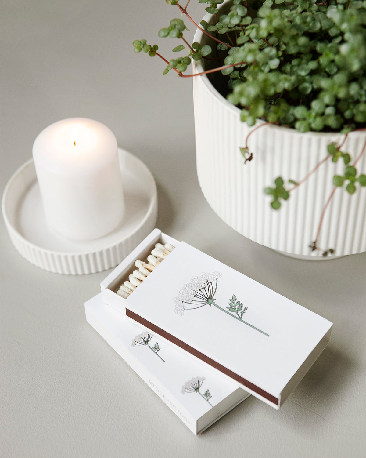 Streichholzschachtel WIESENKERBEL XL