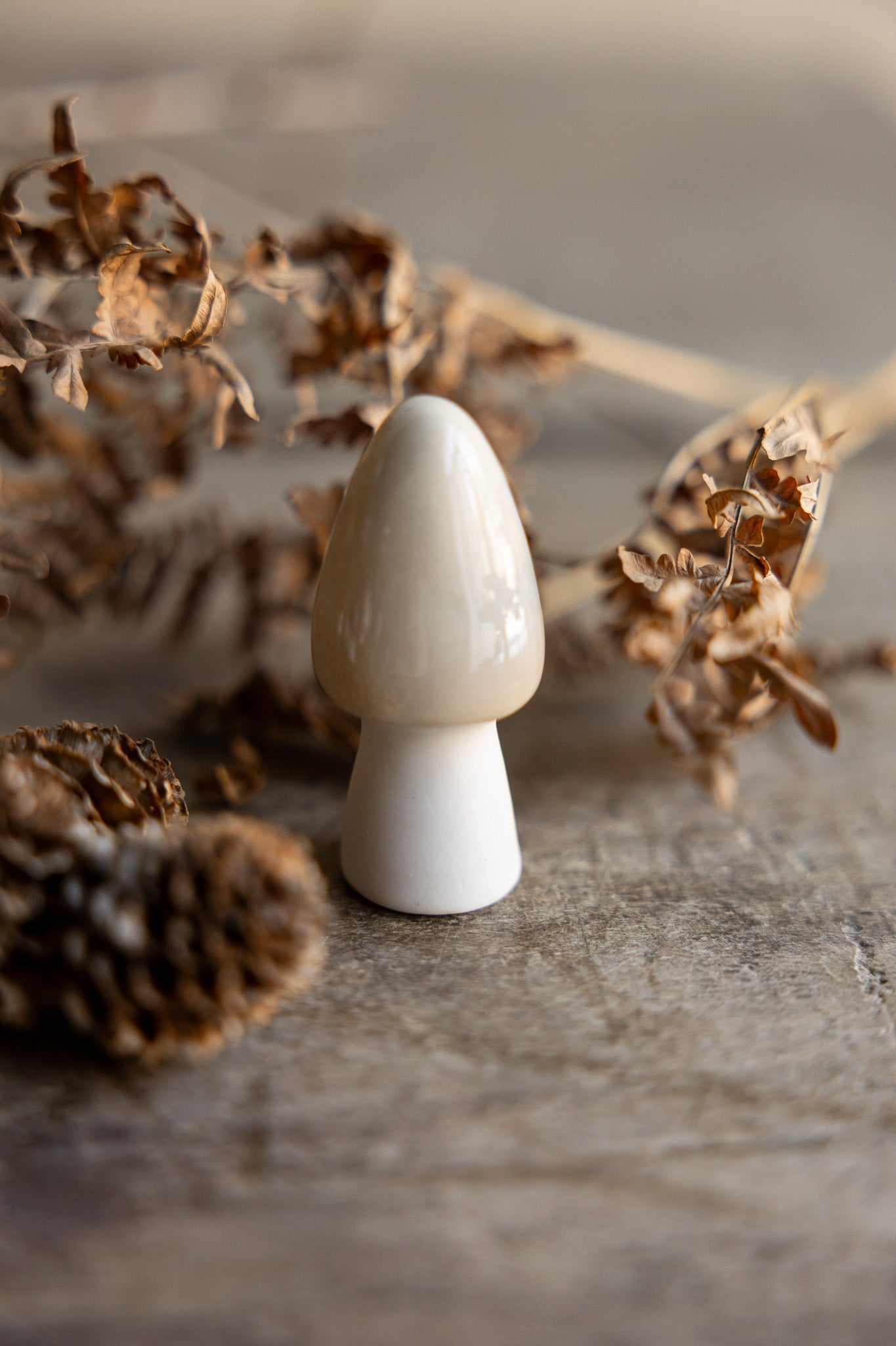 Deko Pilz BOHULT