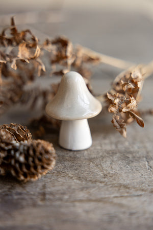 Deko Pilz BOSTEN