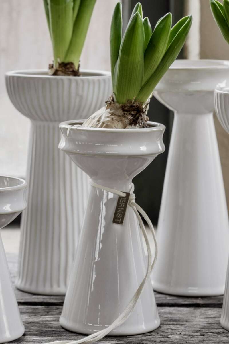 Zwiebelvase / Hyazinthenvase Steingut | Naturweiss 20 cm