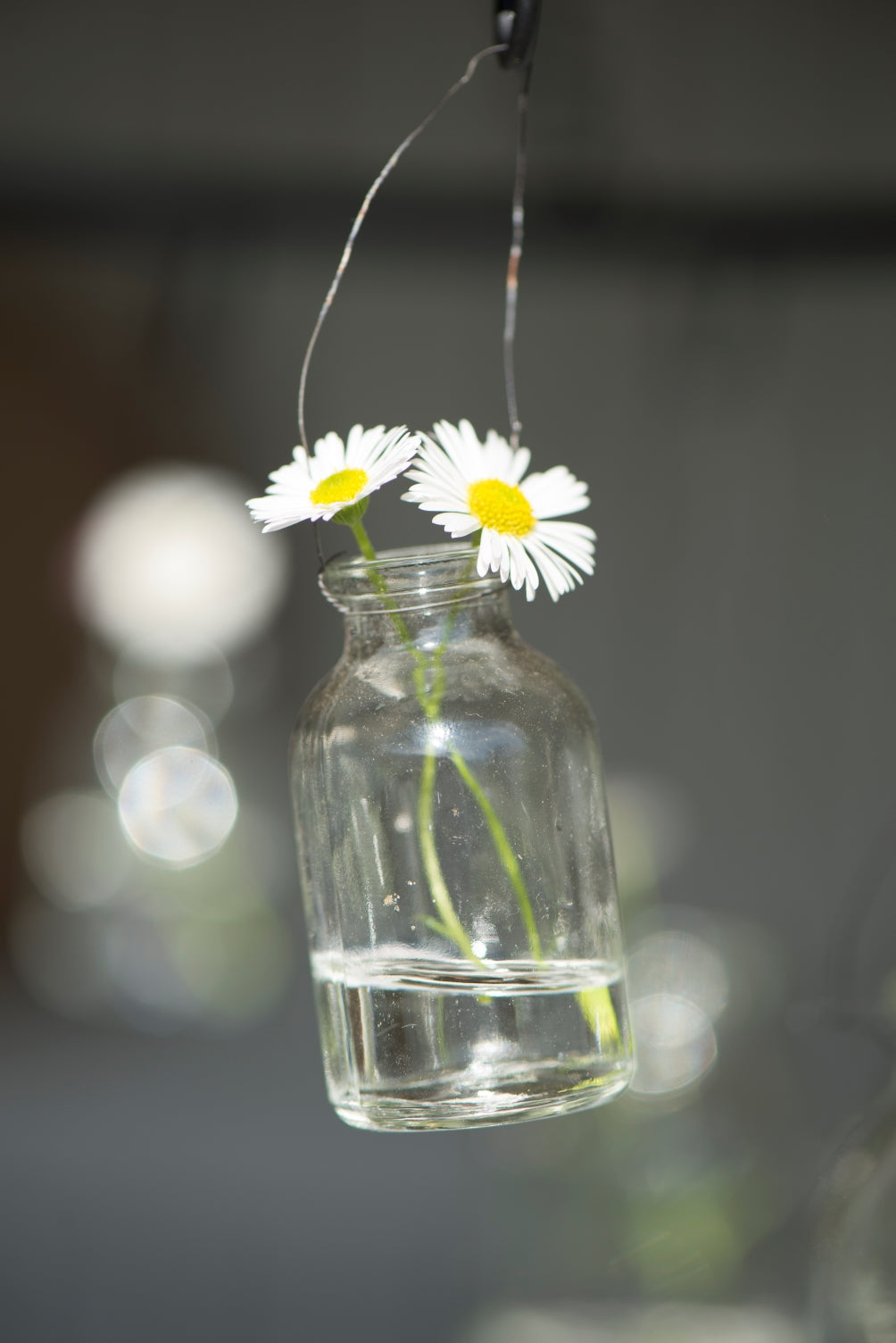 Flasche Draht | Mini