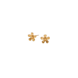 Ohrstecker WILD POPPY | Mini Gold 8 mm