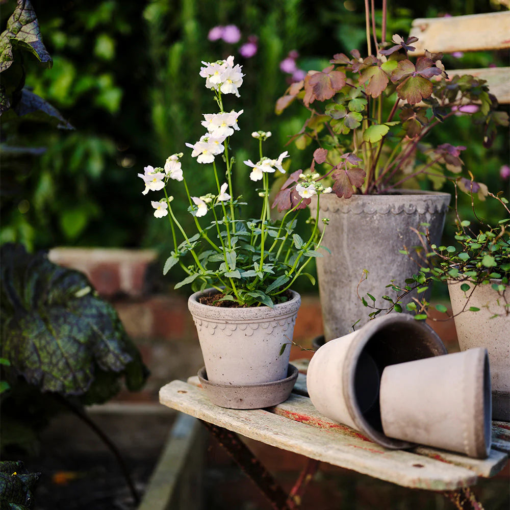 Blumentopf mit Unterteller Københavner | Grau Ø: 10 cm