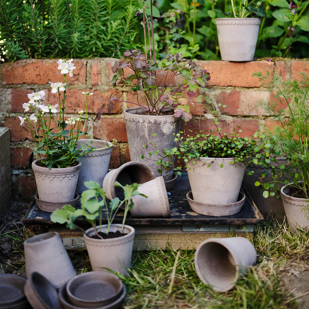Blumentopf mit Unterteller Københavner | Grau Ø: 14 cm