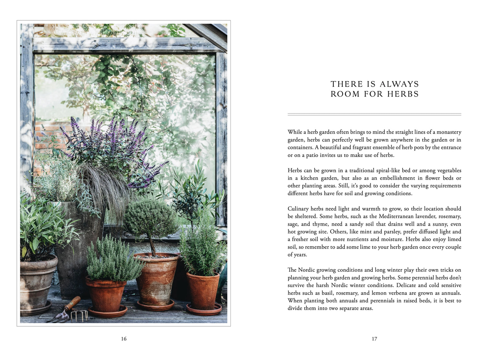 Buch | LIVING WITH HERBS