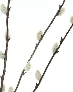 Künstlicher Ast | SALIX