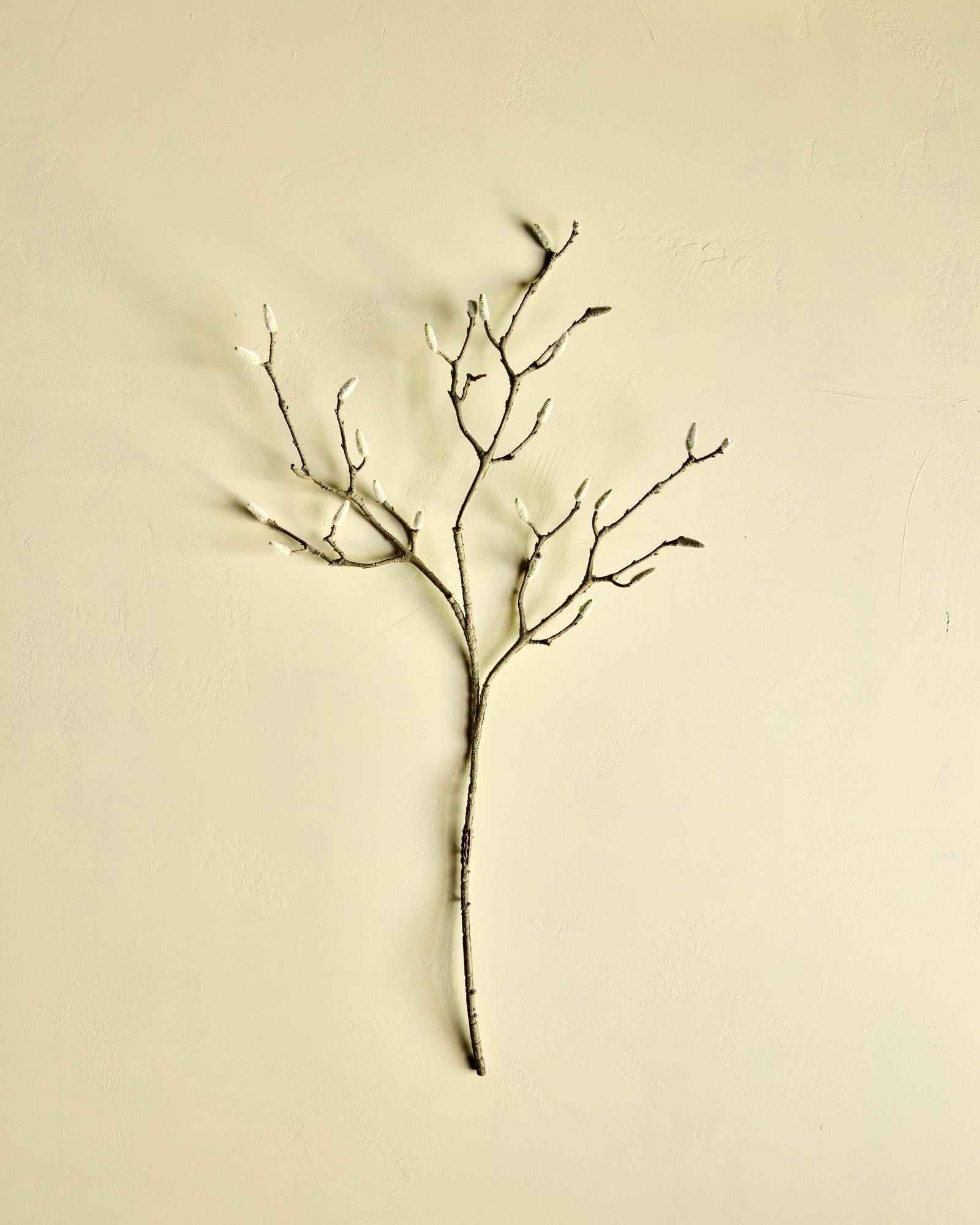 Künstlicher Ast | MAGNOLIA