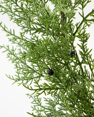 Kranz PINE Ø: 55cm