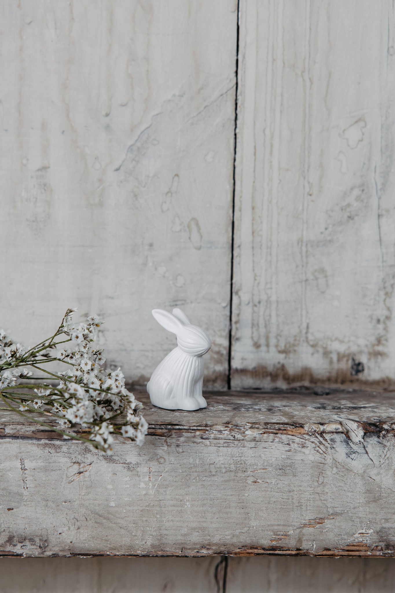 Hase ARTHUR | Scandistyle Grösse S