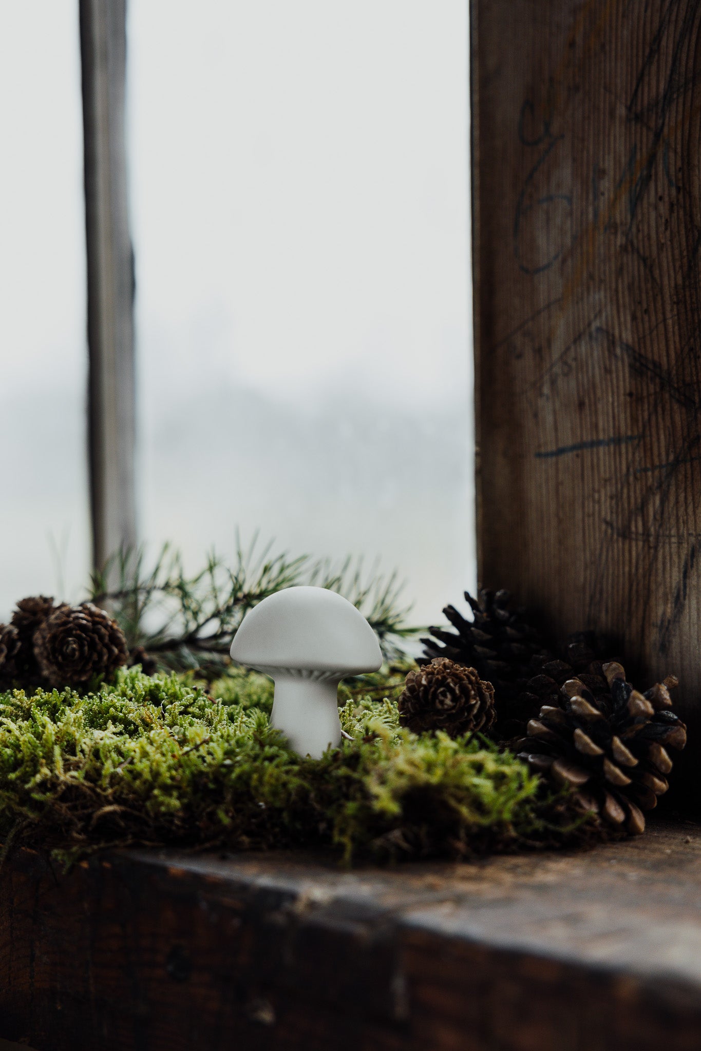 Deko Pilz BOVIK | Weiss