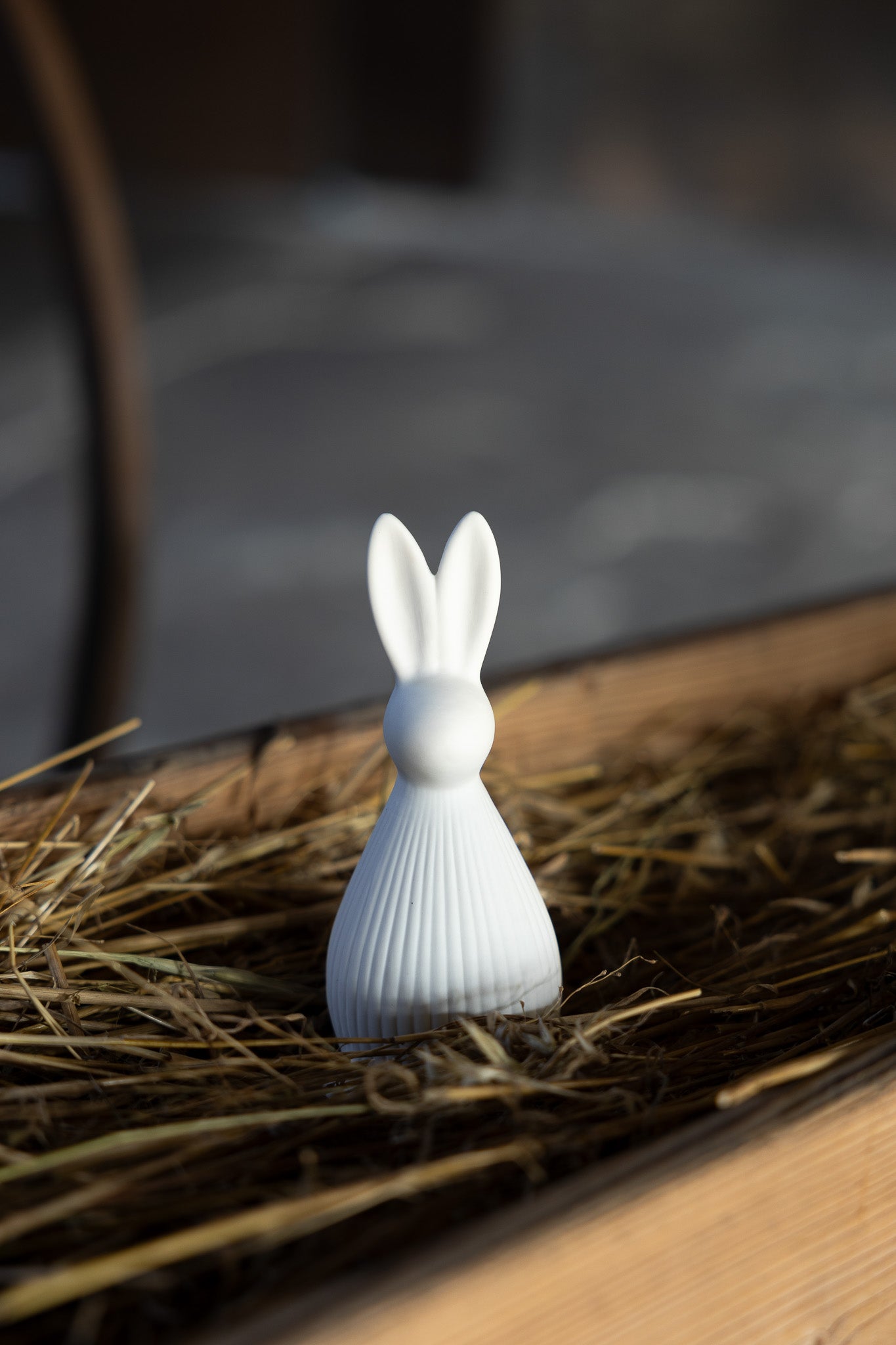 Hase SELMA | Scandistyle Grösse S