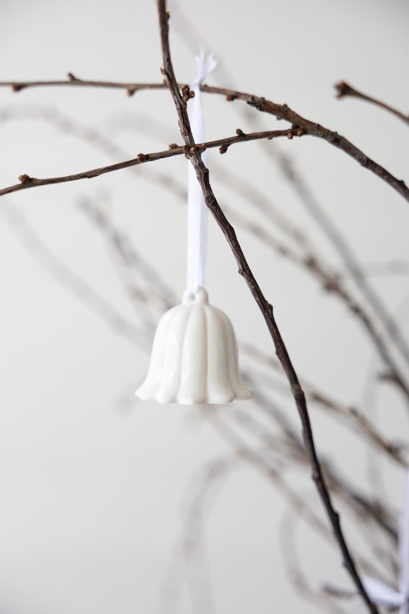 Blume Klocklilja | Weiss