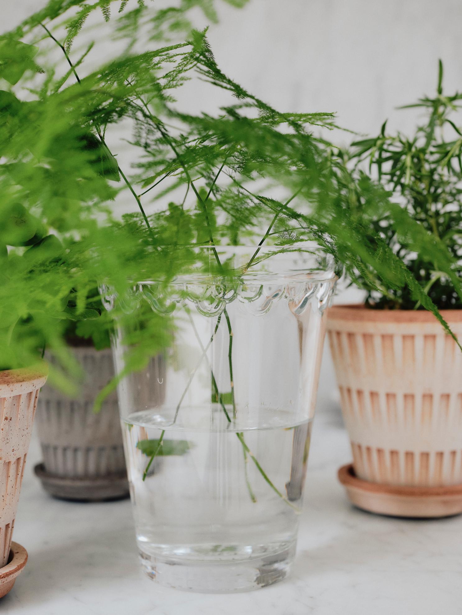 Glasvase Københavner | Bergs Potter