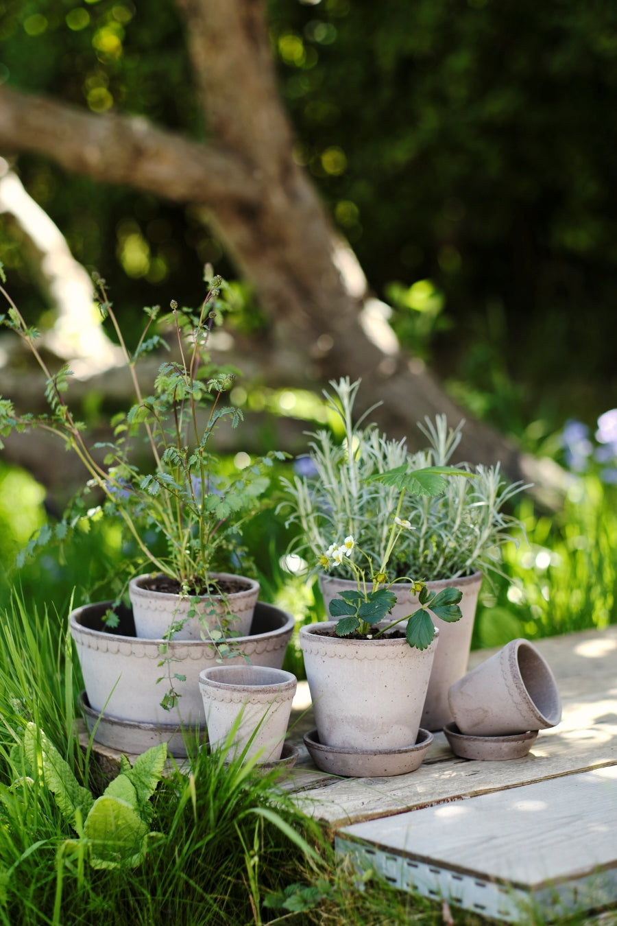 Blumentopf mit Unterteller Helena | Grau tief Ø: 21 cm