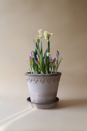 Blumentopf mit Unterteller Københavner | Grau Ø: 21 cm