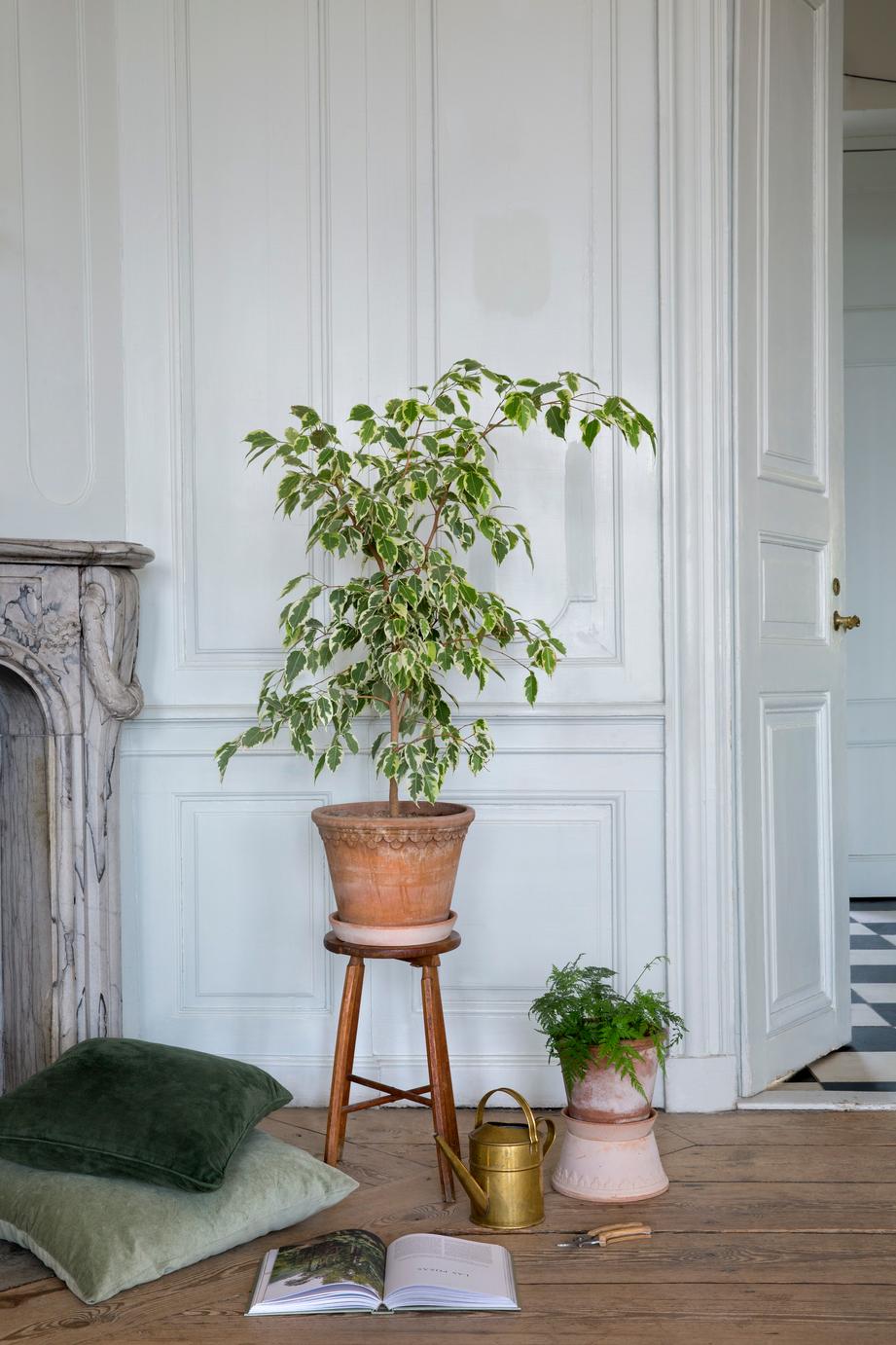 Blumentopf mit Unterteller Københavner rosa Ø: 30 cm