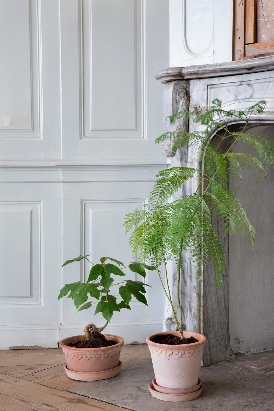 Blumentopf mit Unterteller Københavner | Rosa Ø: 25 cm