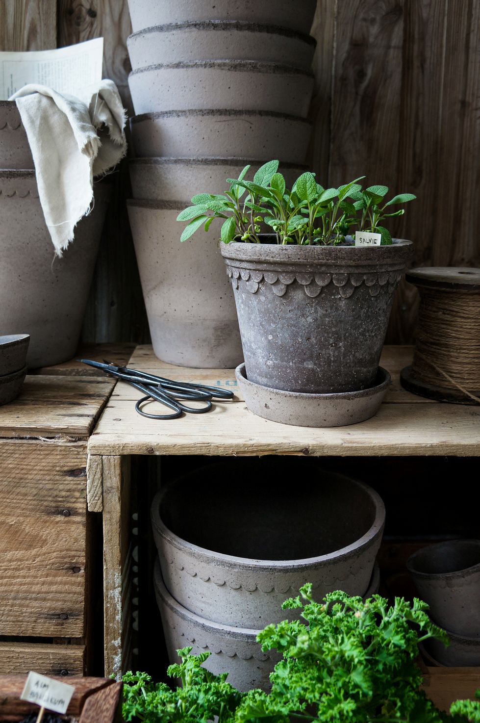 Blumentopf mit Unterteller Københavner | Grau Ø: 25 cm (Zzgl. Fragileversand)