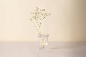 Glasvase Københavner | Bergs Potter Ø: 11 cm