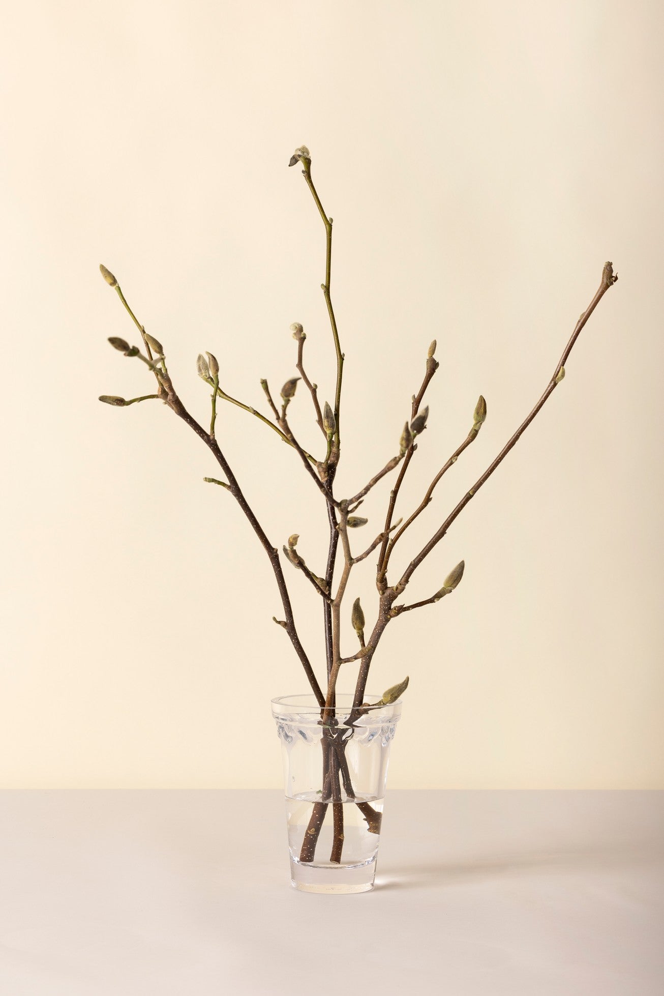 Glasvase Københavner | Bergs Potter Ø: 11 cm