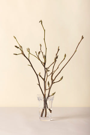 Glasvase Københavner | Bergs Potter Ø: 11 cm