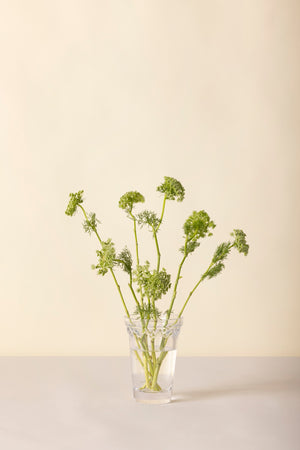 Glasvase Københavner | Bergs Potter Ø: 11 cm