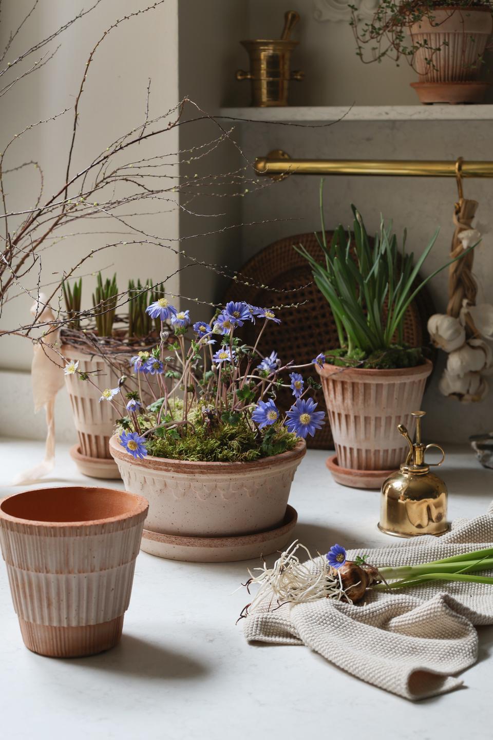 Blumentopf mit Unterteller Københavner rosa tief Ø: 25 cm