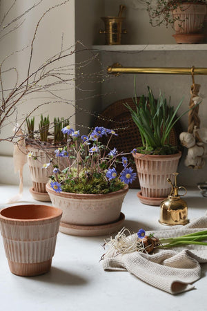 Blumentopf mit Unterteller Københavner rosa tief Ø: 25 cm