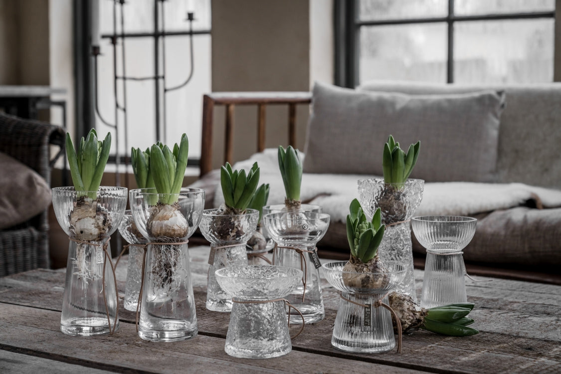 Zwiebelvase / Hyazinthenvase Ribbed | Glas 19 cm