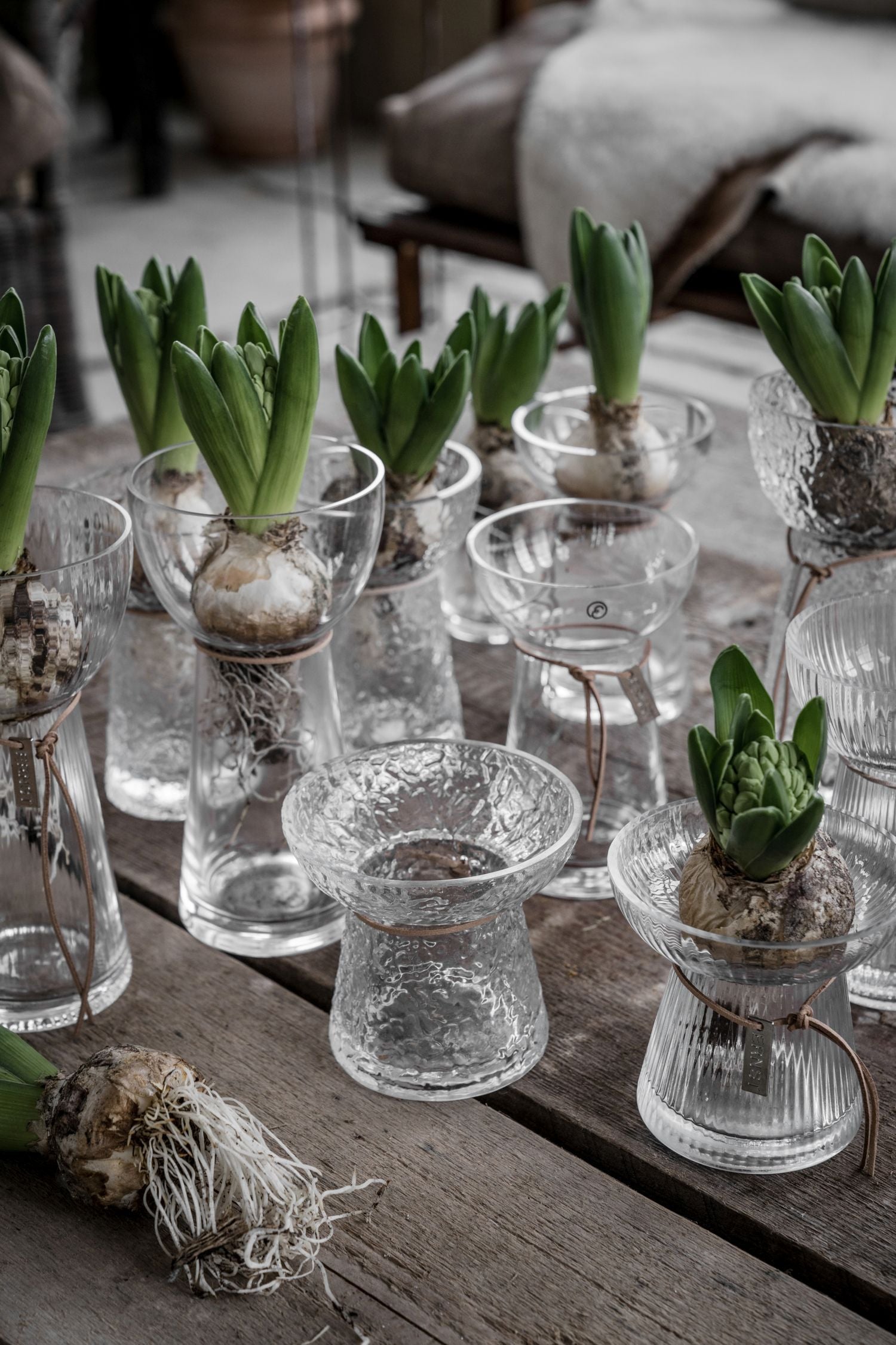 Zwiebelvase / Hyazinthenvase Ribbed | Glas 19 cm