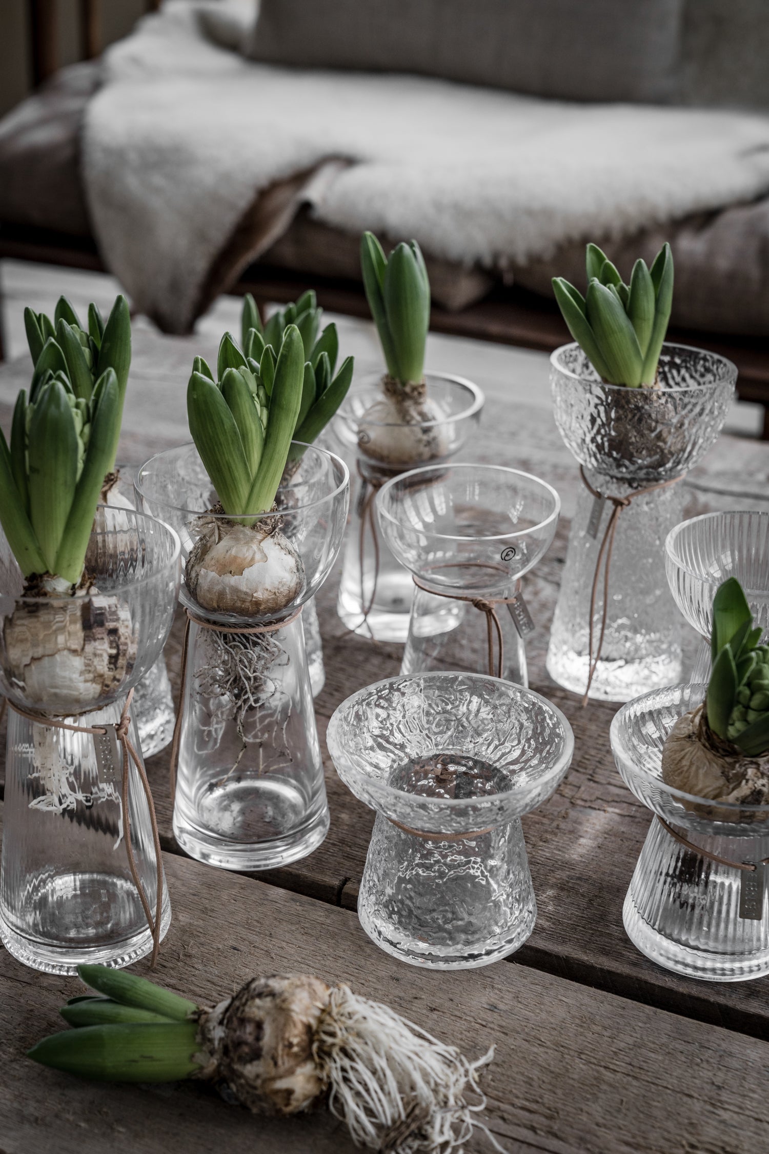 Zwiebelvase / Hyazinthenvase Ribbed | Glas 19 cm