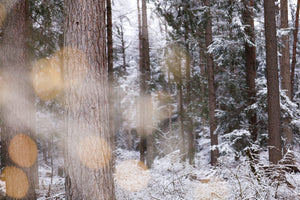 Adventskalender SCHWEDISCHES - ADVENTSDORF