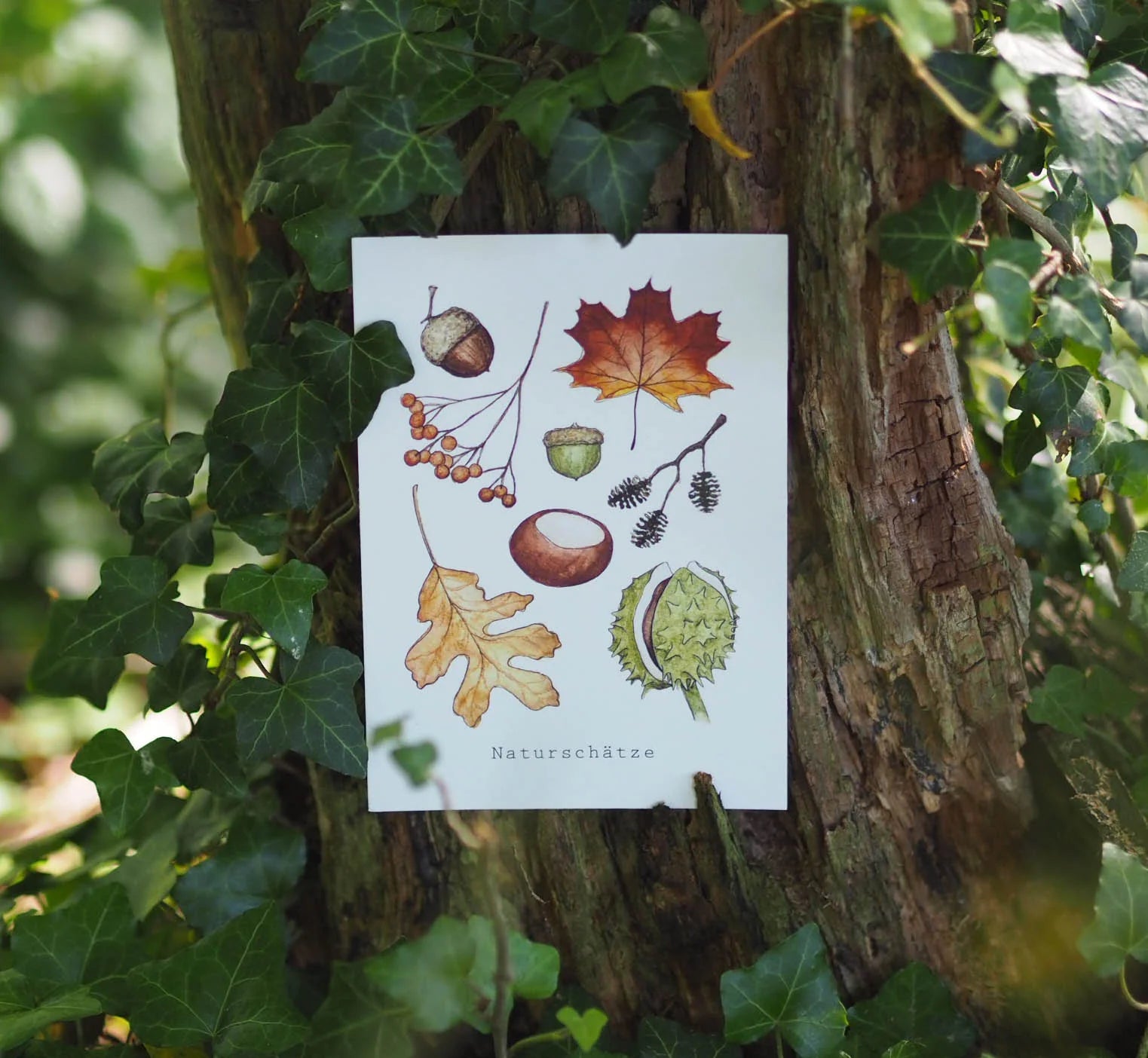 Postkarte NATURSCHÄTZE