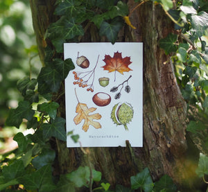 Postkarte NATURSCHÄTZE