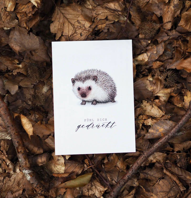 Postkarte IGEL